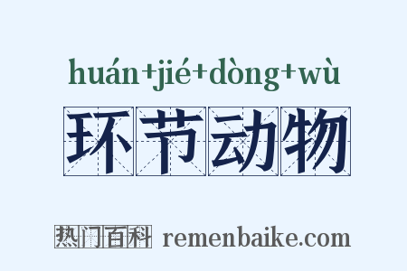环节动物是什么意思的图片